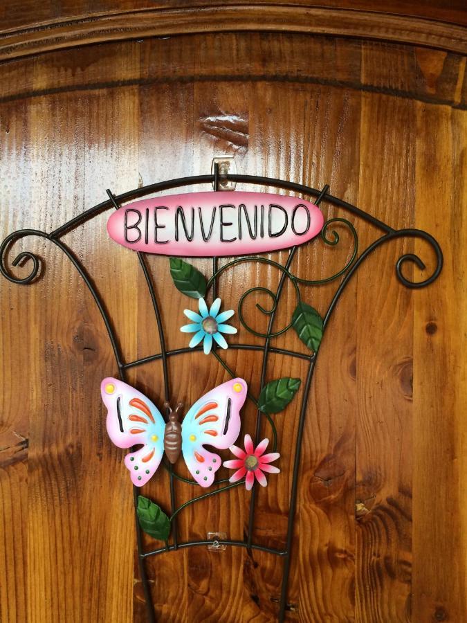Casa Roble Anejo Bed & Breakfast Santa Cruz Ngoại thất bức ảnh