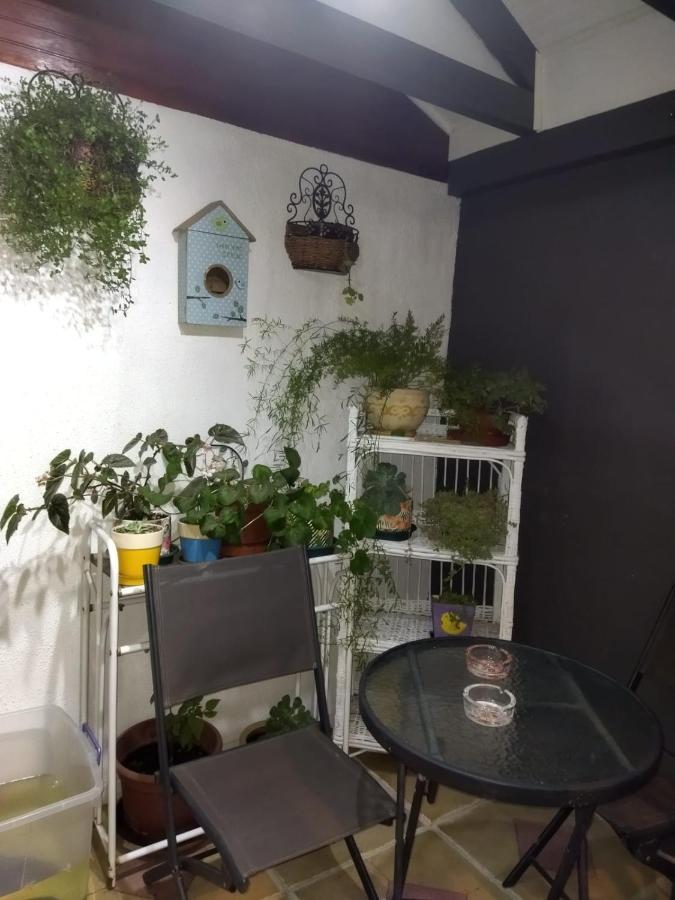 Casa Roble Anejo Bed & Breakfast Santa Cruz Ngoại thất bức ảnh