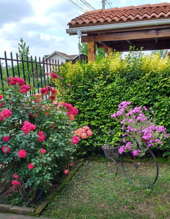 Casa Roble Anejo Bed & Breakfast Santa Cruz Ngoại thất bức ảnh